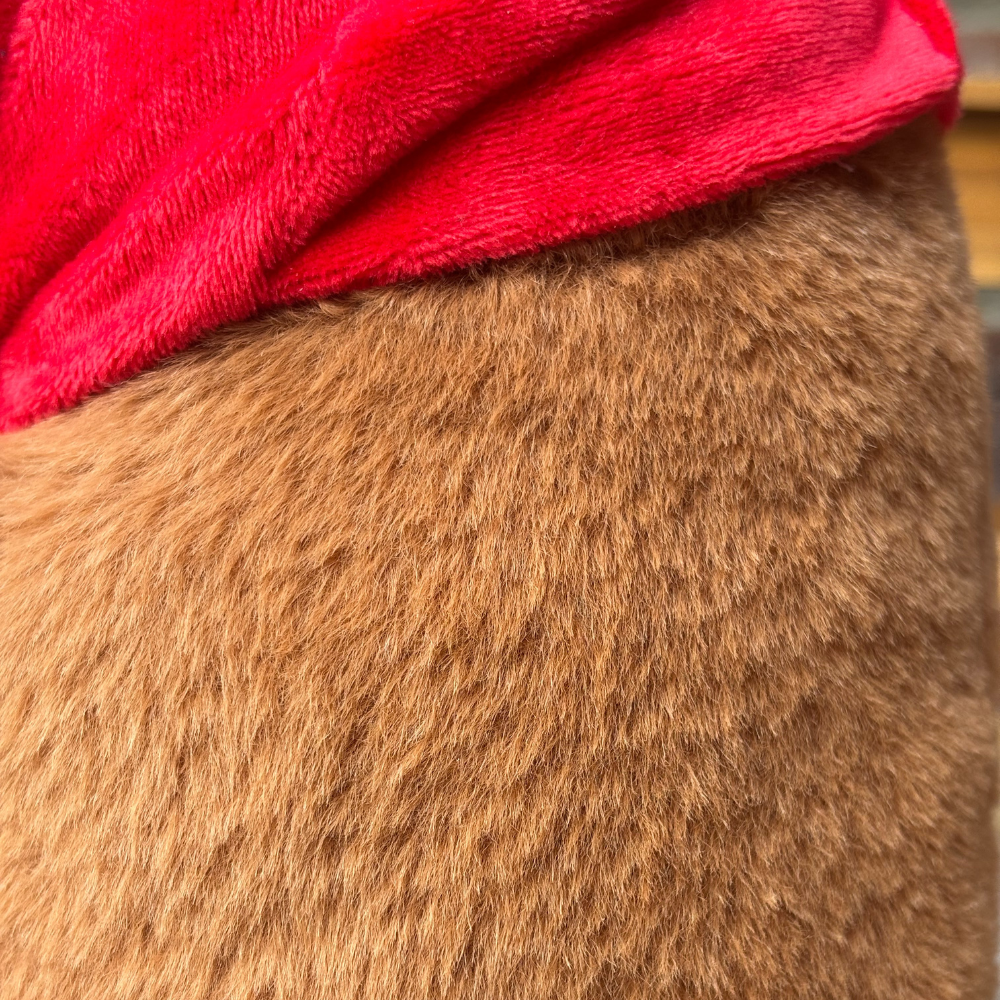 Capybara "Don Frutón"