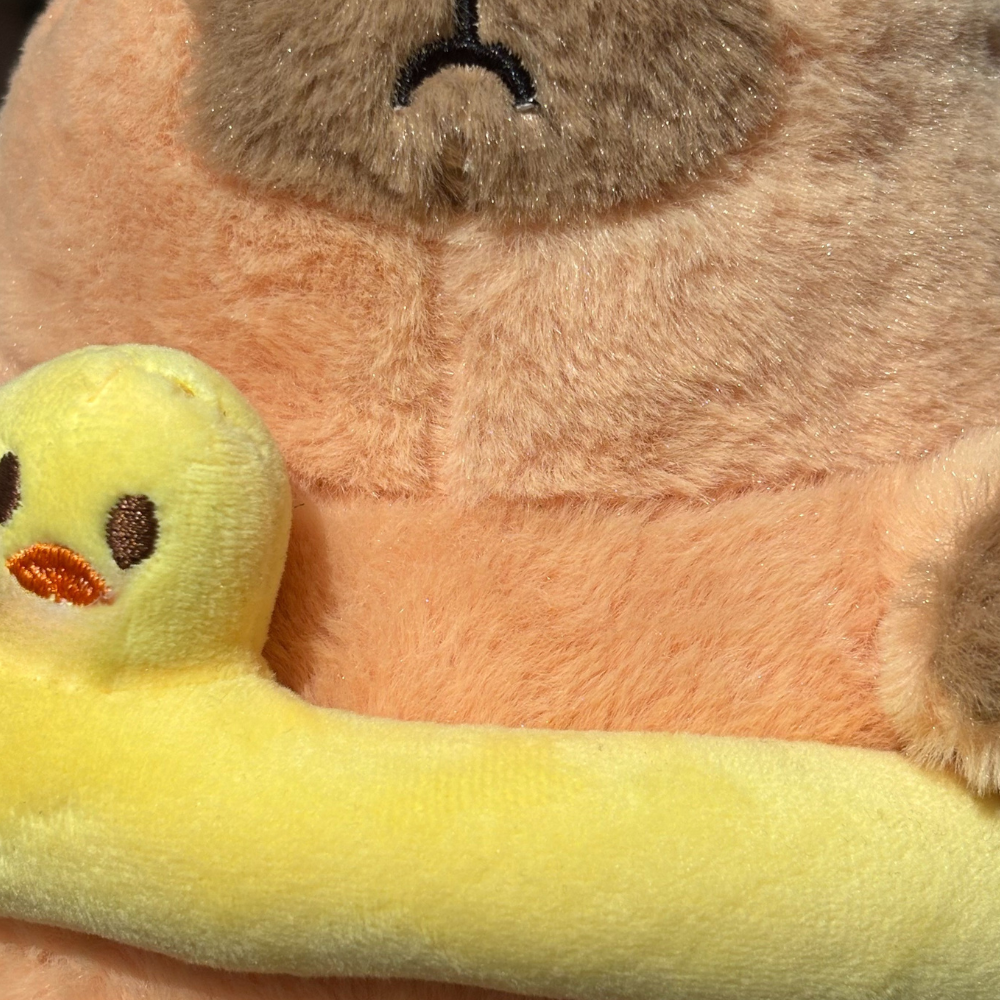 Capybara "El Flotador"