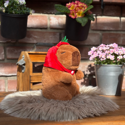 Capybara "Don Frutón"