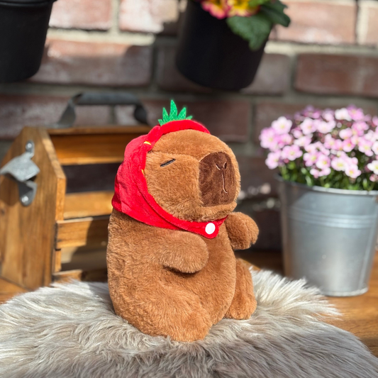 Capybara "Don Frutón"