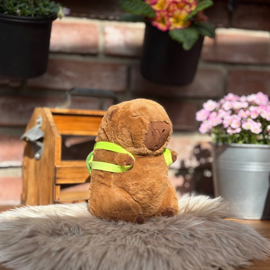 Capybara "Don Turtugo"