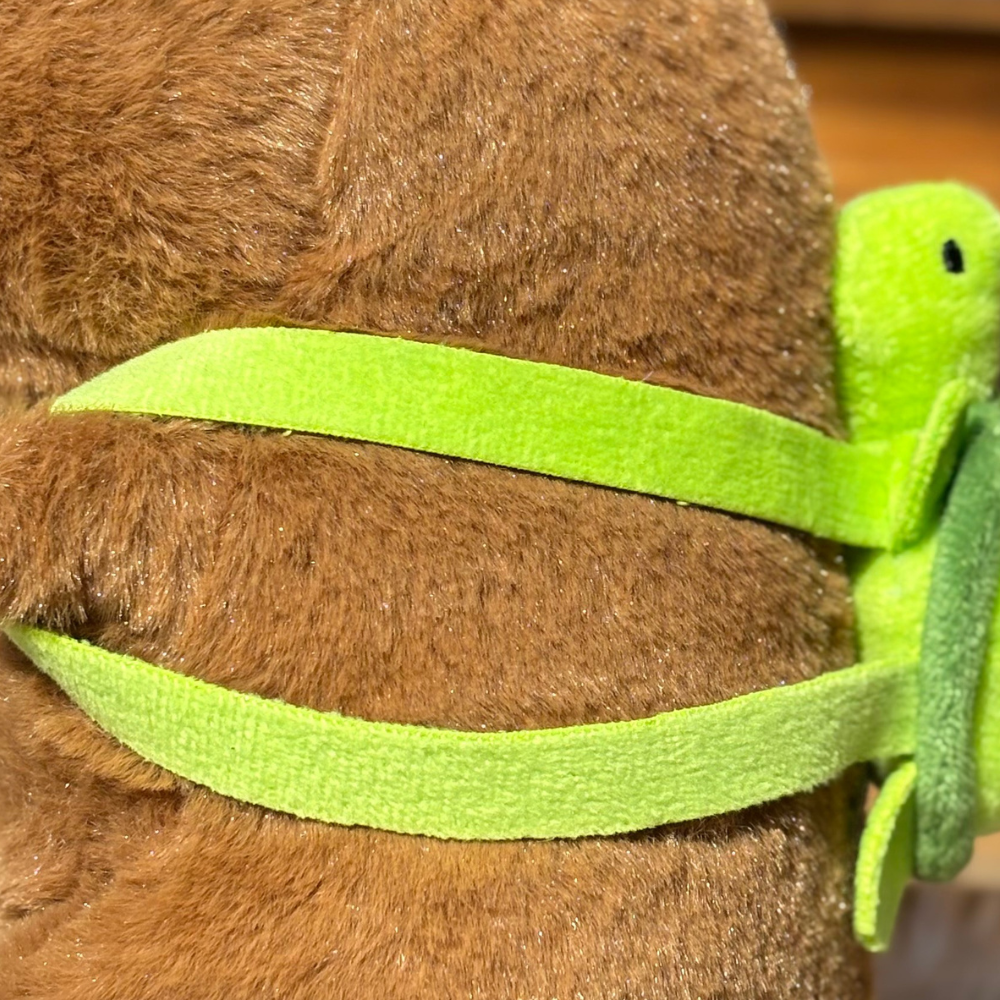 Capybara "Don Turtugo"